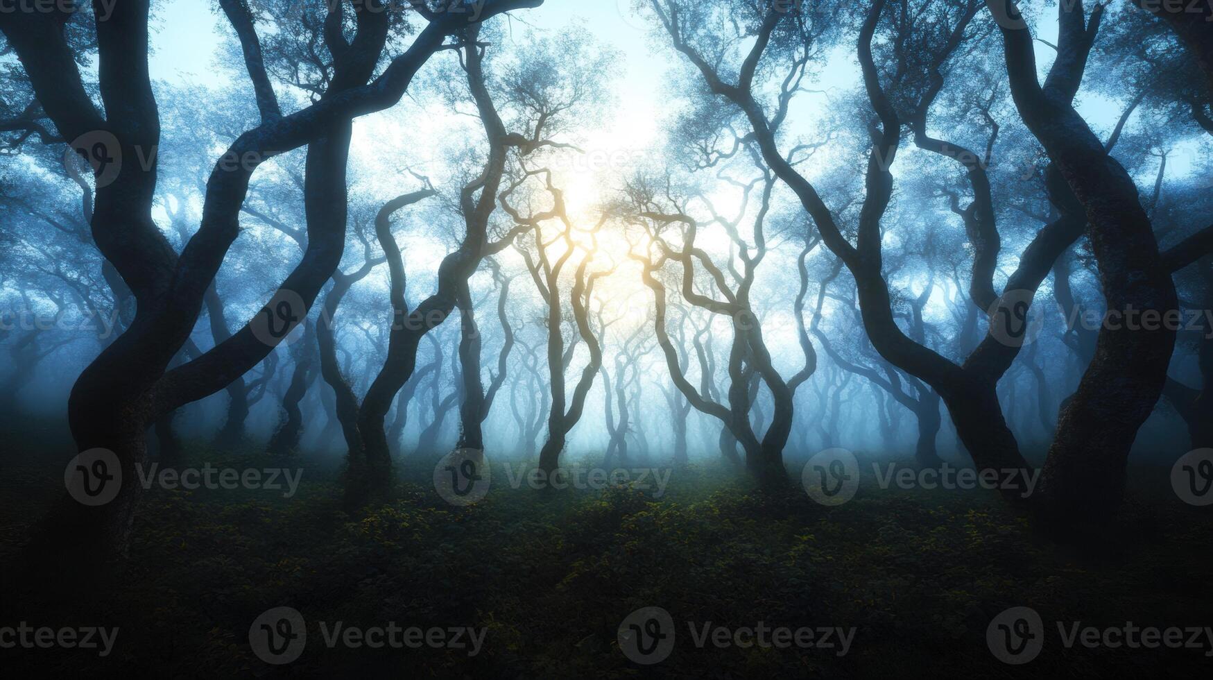 Mystical Forest Sunlight Beam photo