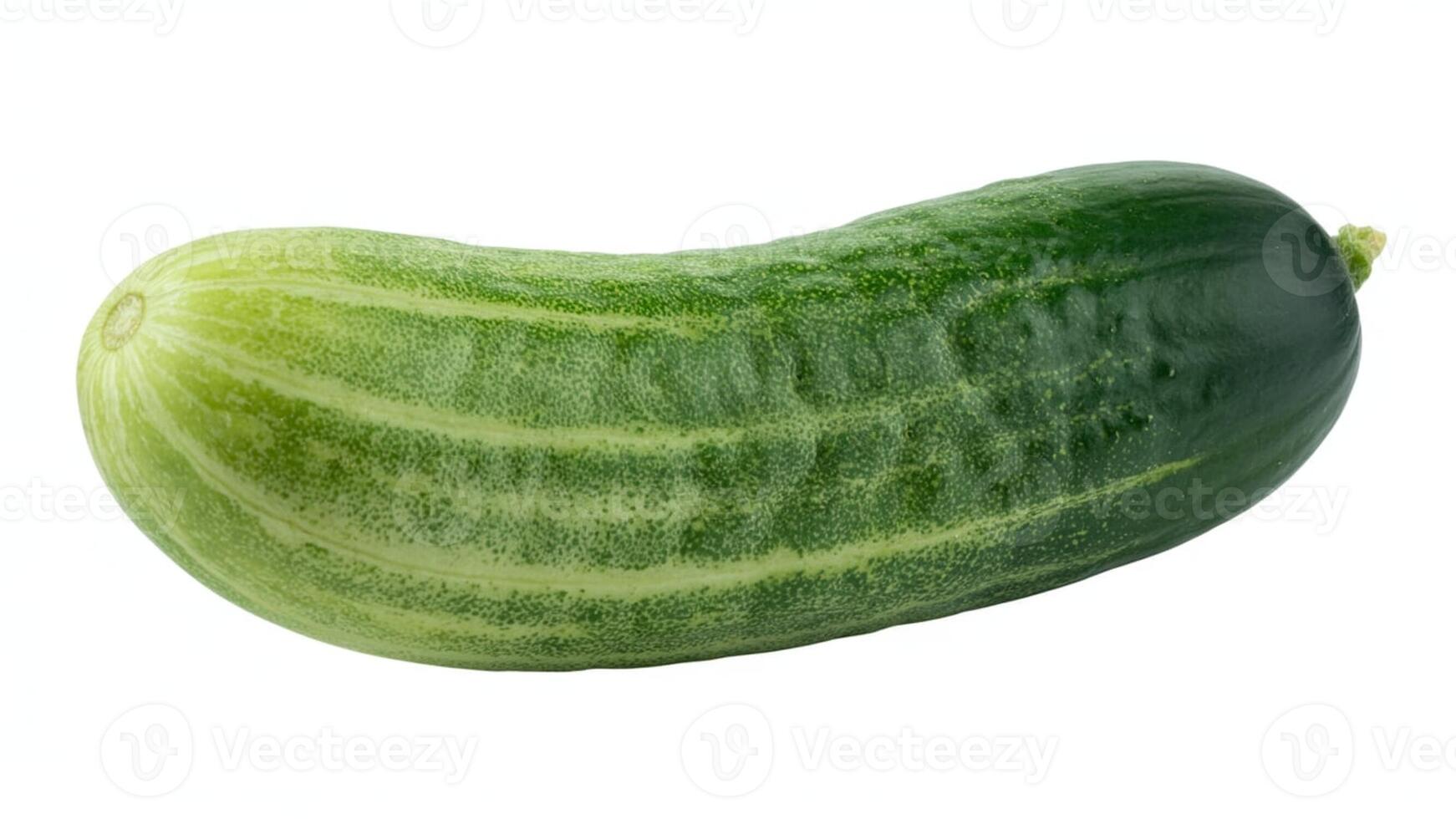 A single green cucumber with light and dark stripes isolated on white background photo