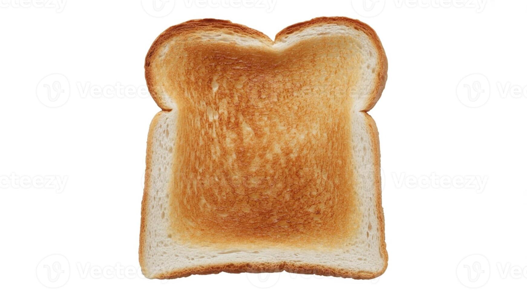 A single slice of toasted bread with a golden brown center on a white background photo