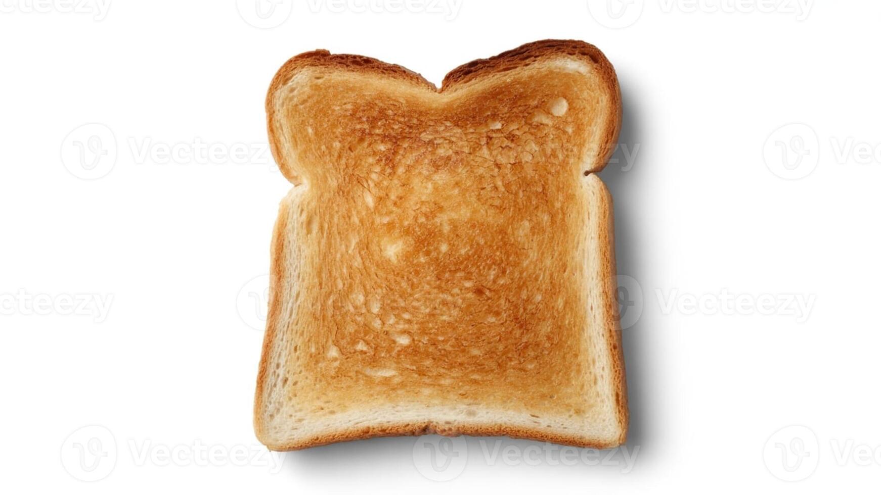 A single slice of golden brown toast sitting on a white surface in a studio setting view photo