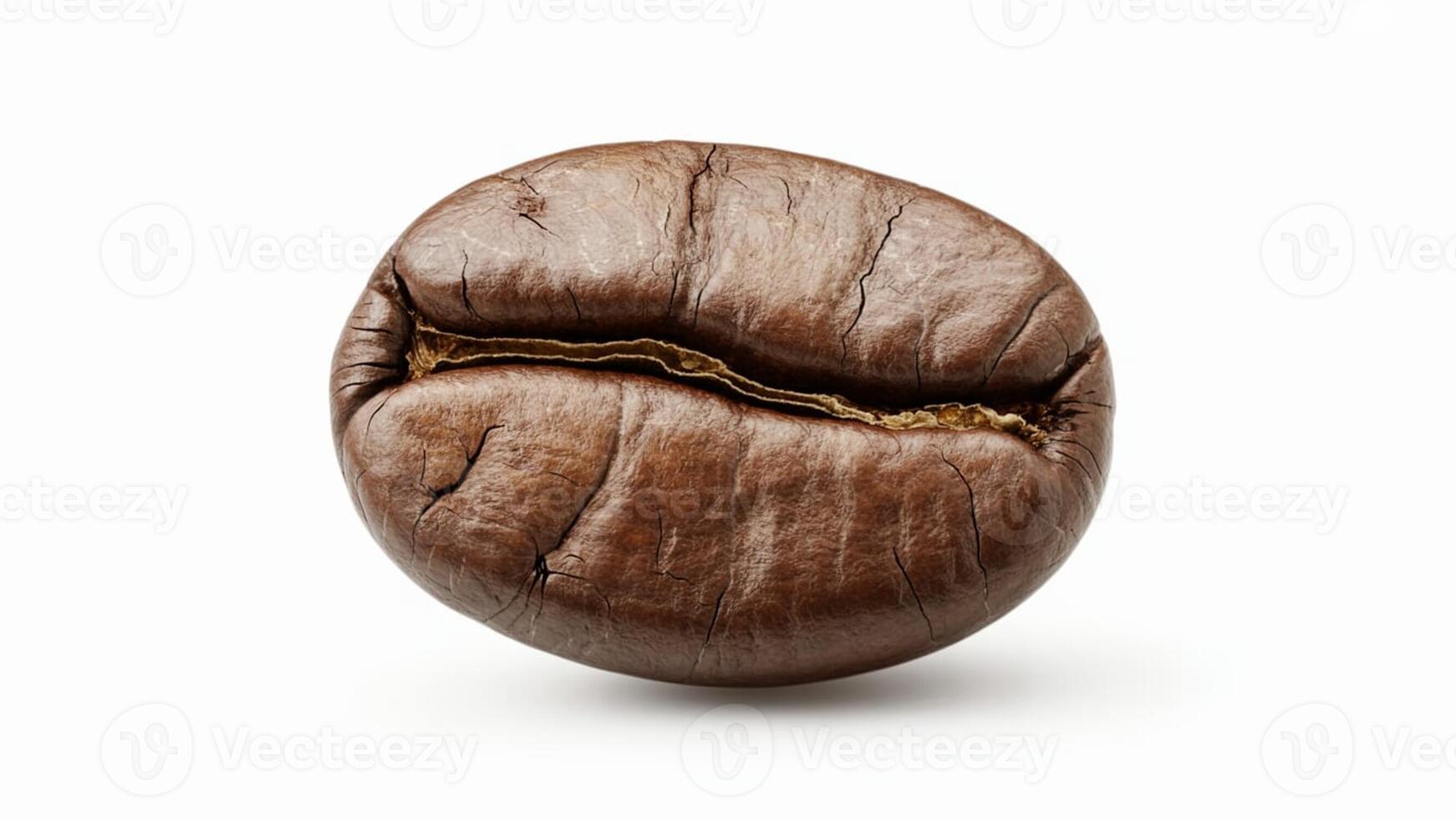 Close up of a single roasted coffee bean on a white background with visible cracks photo