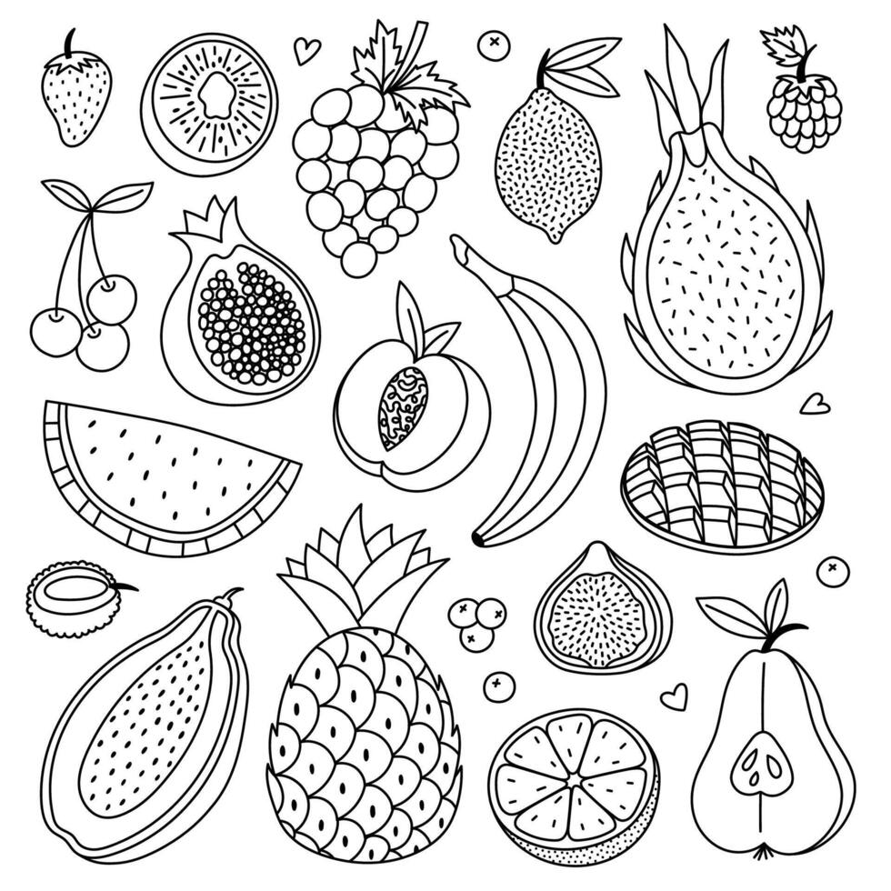 Big lovely doodle set with summertime fruits and berries. Hand drawn outline tropical, exotic, farming sweet food for print, social media, packaging, restaurant menu. Grape, peach, pear, mango. vector
