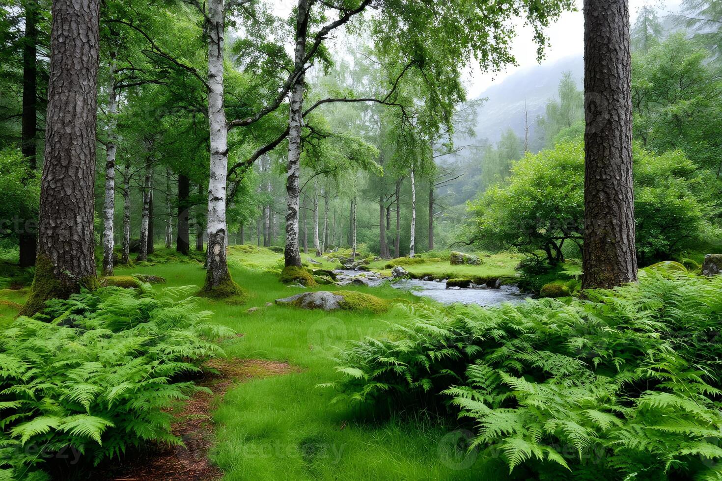 Lush green forest with ferns and flowing stream photo