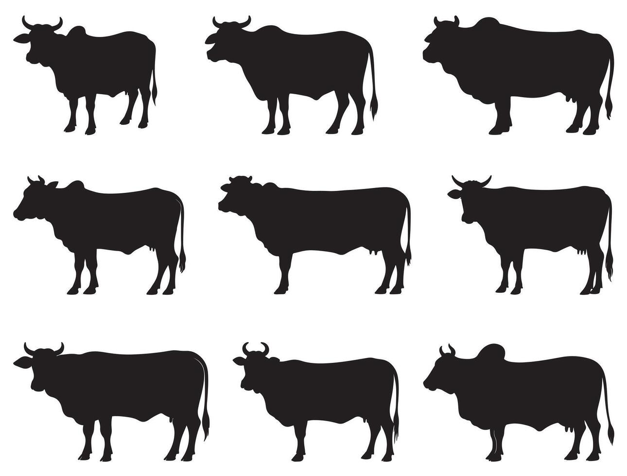 SIMBRAH COW SILHOUETTE vector
