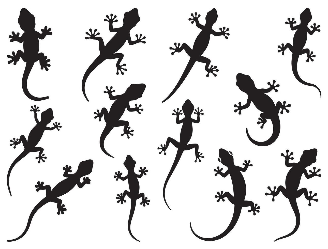 GECKO SILHOUETTE ON WHITE BACKGROUND vector