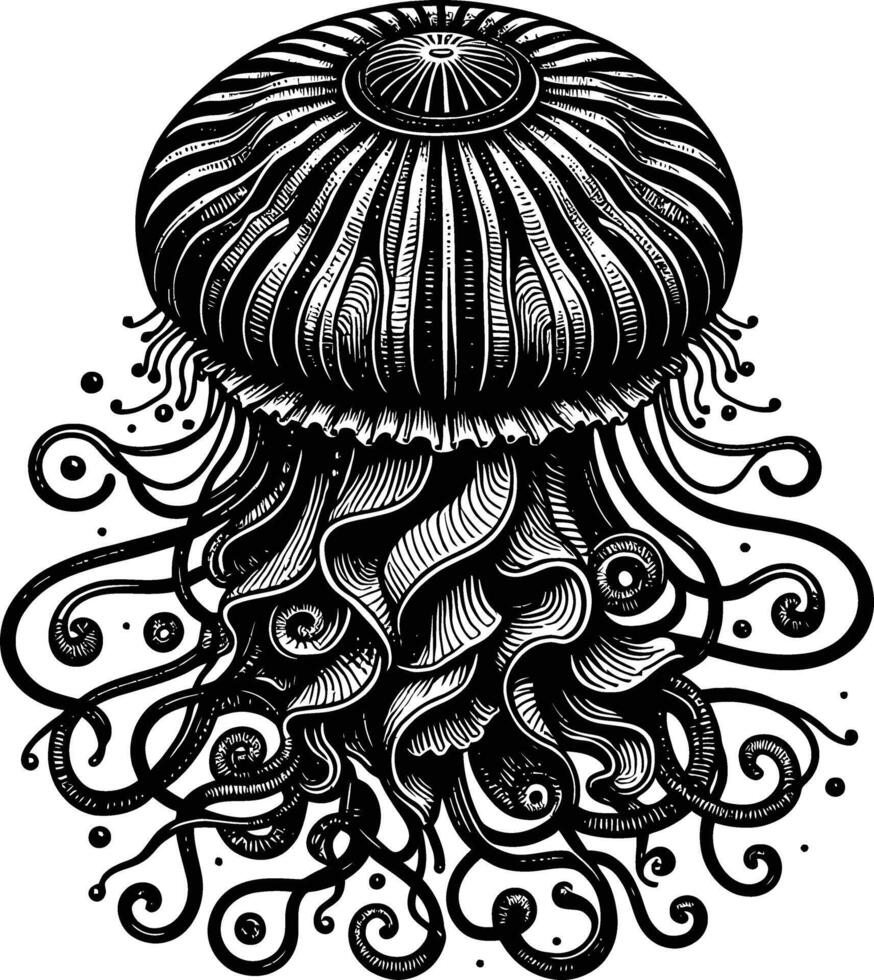 Jellyfish Drawing Isolated Artwork. vector