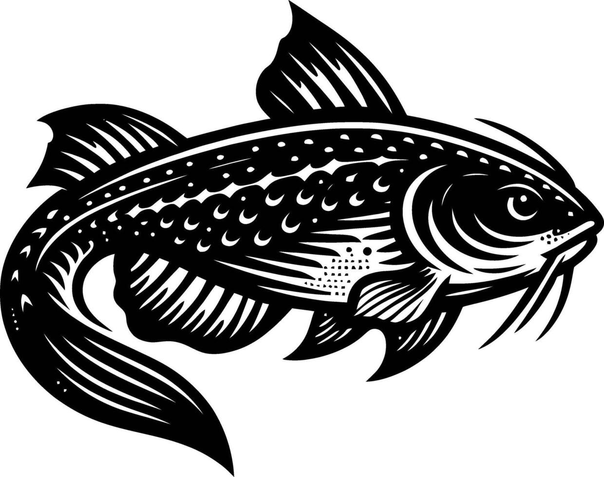 Catfish illustration isolated on white. vector