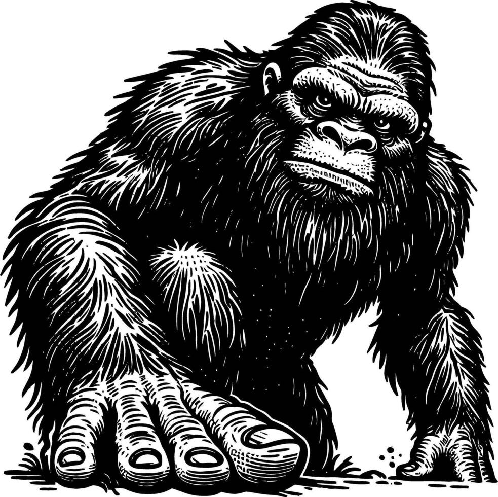 Gorilla sketch Wildlife animal . vector