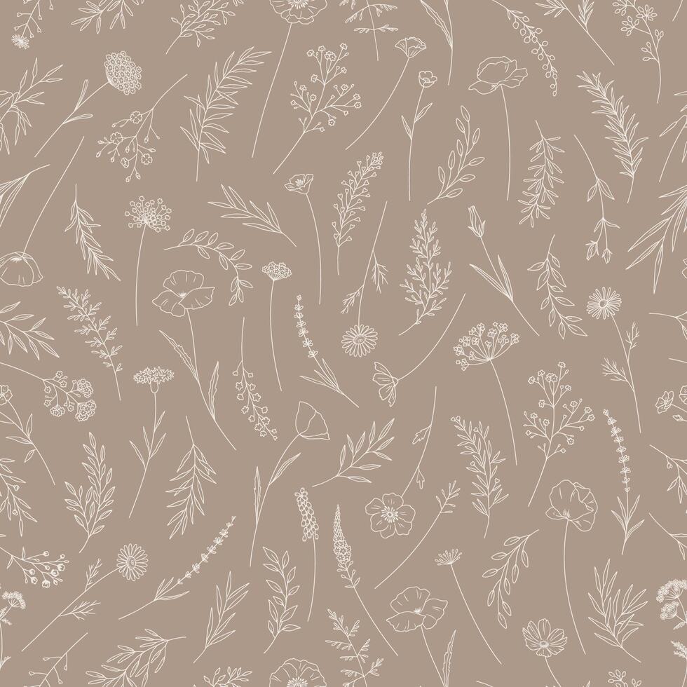 Meadow herbs and flowers. Floral illustration. Seamless pattern with wildflowers. Elegant botanical print in thin line, modern style design. Nature background for fabric, package, wrapping vector