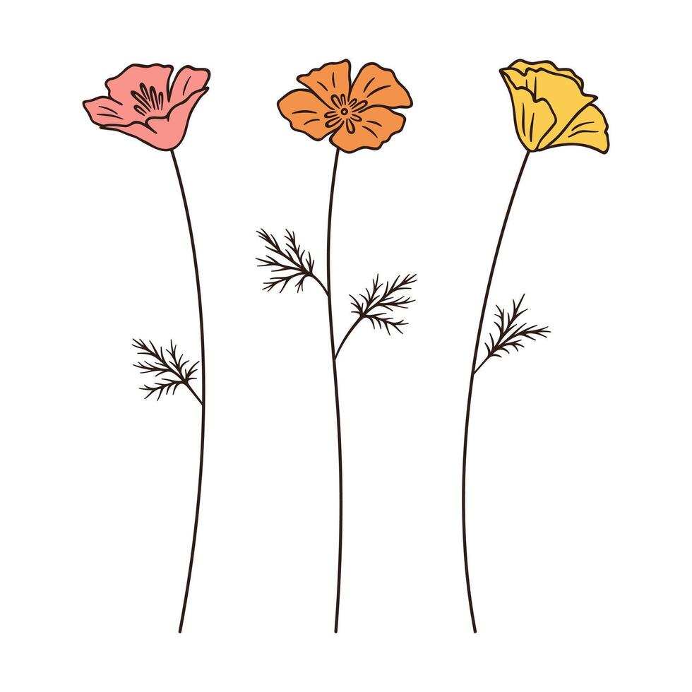 Set of colorful poppy flowers and leaves, vector