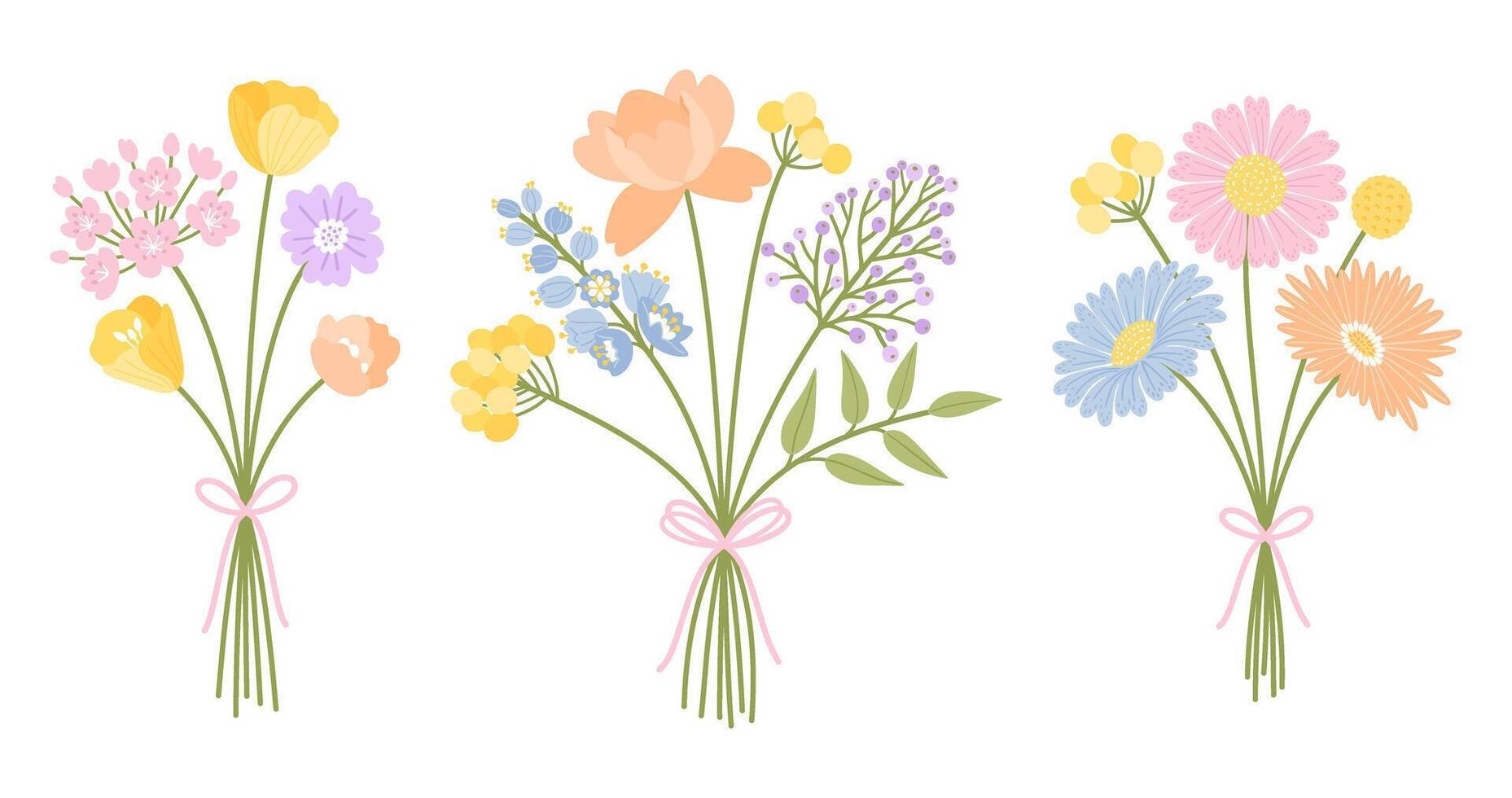 Set of three floral bouquets. Wildflower bunch. Flowers tied with ribbon, illustration. Meadow herbs, and wild plants for design projects vector