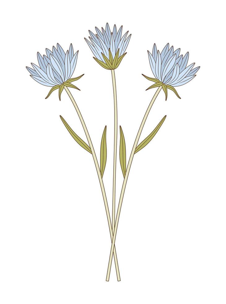 Bouquet of three flowers with leaves illustration. Bright bunch of blooming perennial wild plants, blue wildflowers. Botanical hand-drawn elements for design projects vector