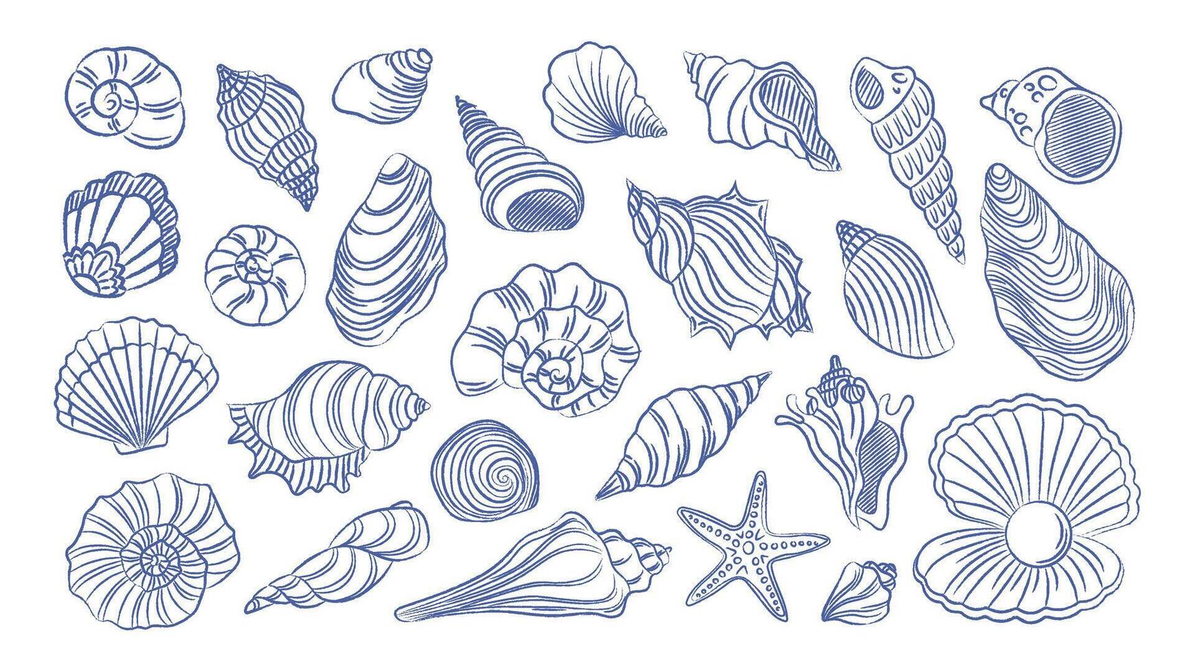Set of seashells on white background. Trending doodles, twisted ornate shells. pen drawn vintage element vector