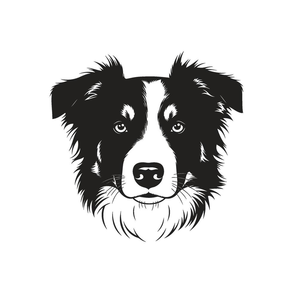Striking black and white illustration of a Border Collie dog's head vector