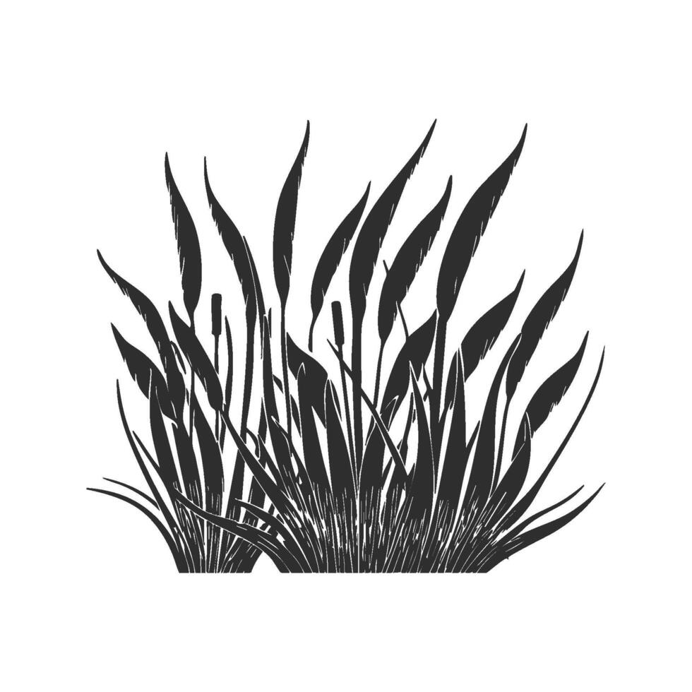 Silhouette Of Cattail Plants In Wetland Environment. Nature And Ecology Theme Isolated Illustration vector