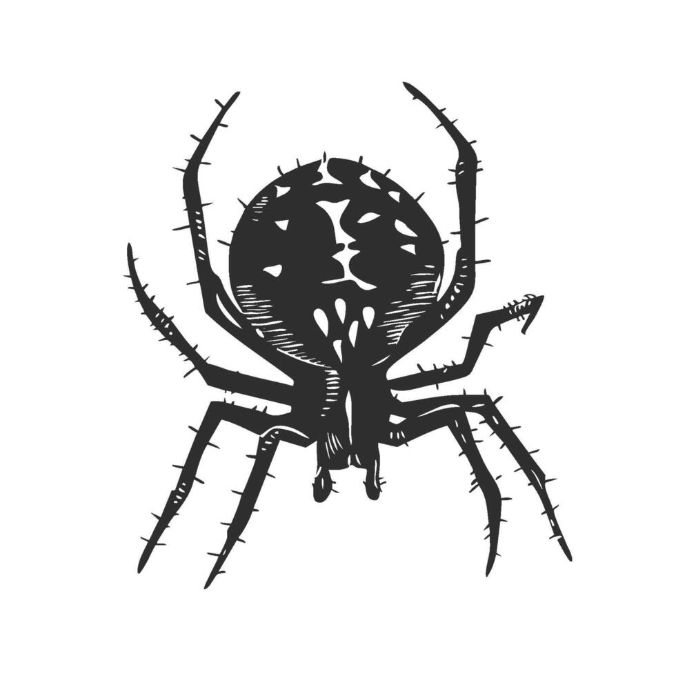 Spider Silhouette Illustration. Arachnid Design For Nature And Halloween. vector