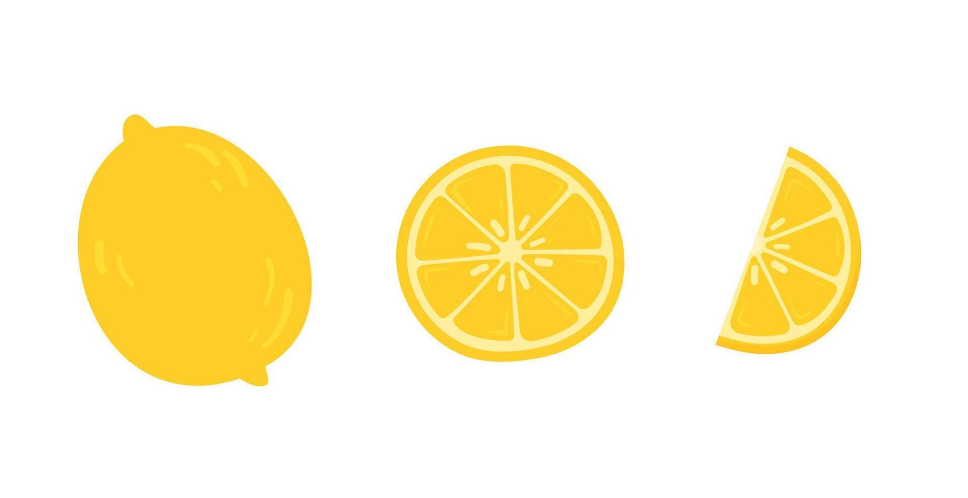 Whole lemon, lemon slice, and wedge on white background in flat style. vector