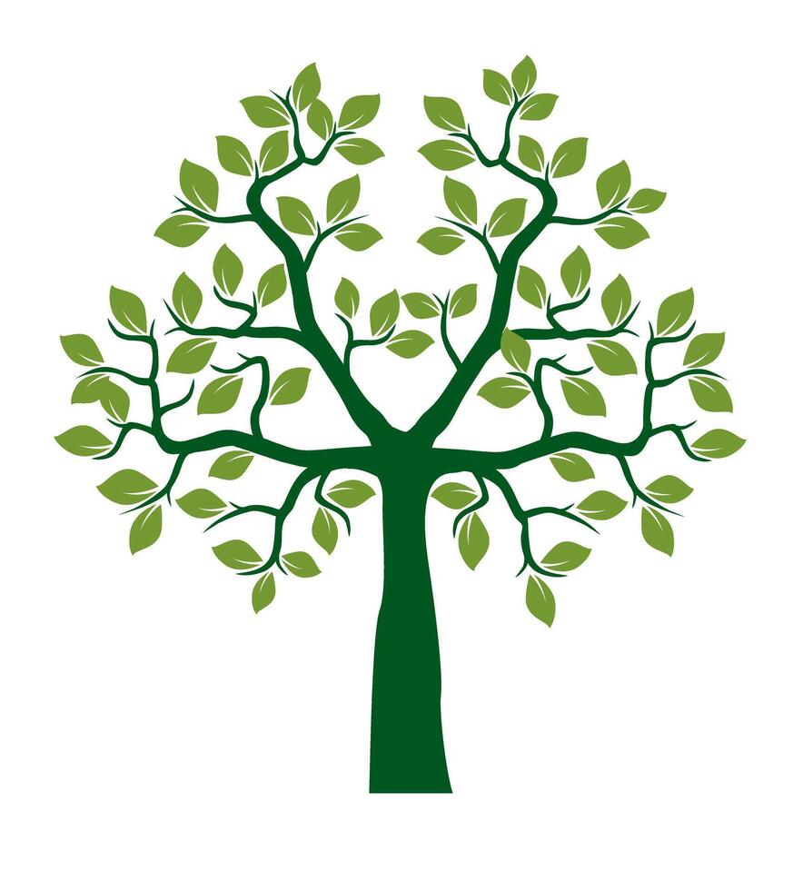 Shape green Tree with Leaves and Roots. Outline Illustration. vector