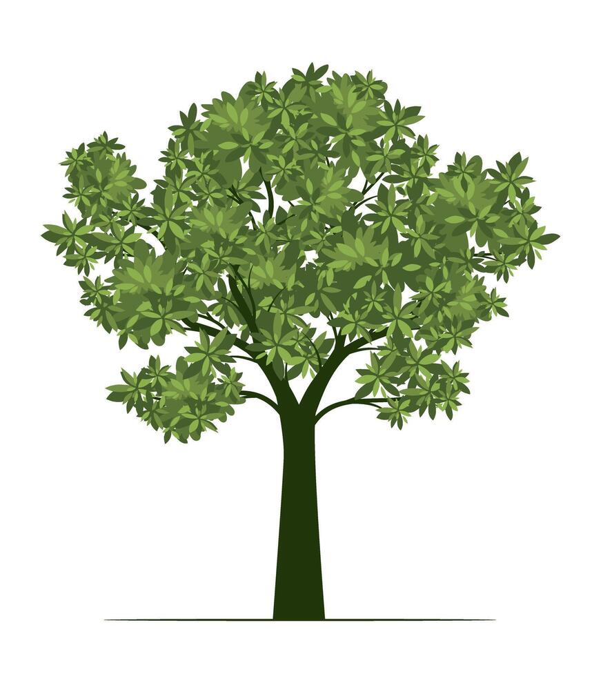 Green Tree with Leaves outline Illustration. vector
