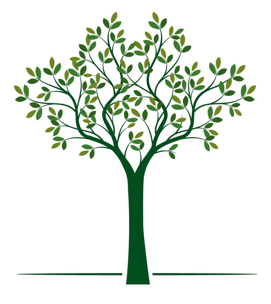 Shape of green Tree with Leaves ad Roots outline Illustration. vector