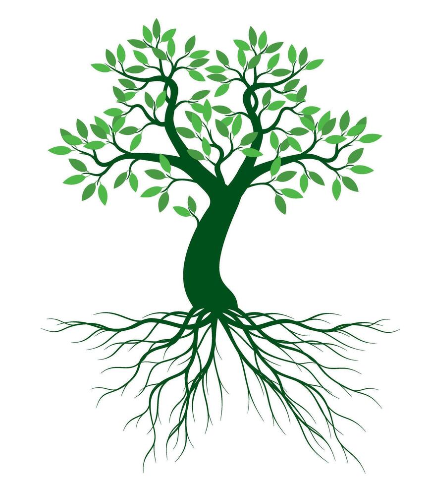 A tree drawn by hand. Green leaves on branches, curved trunk and roots. vector