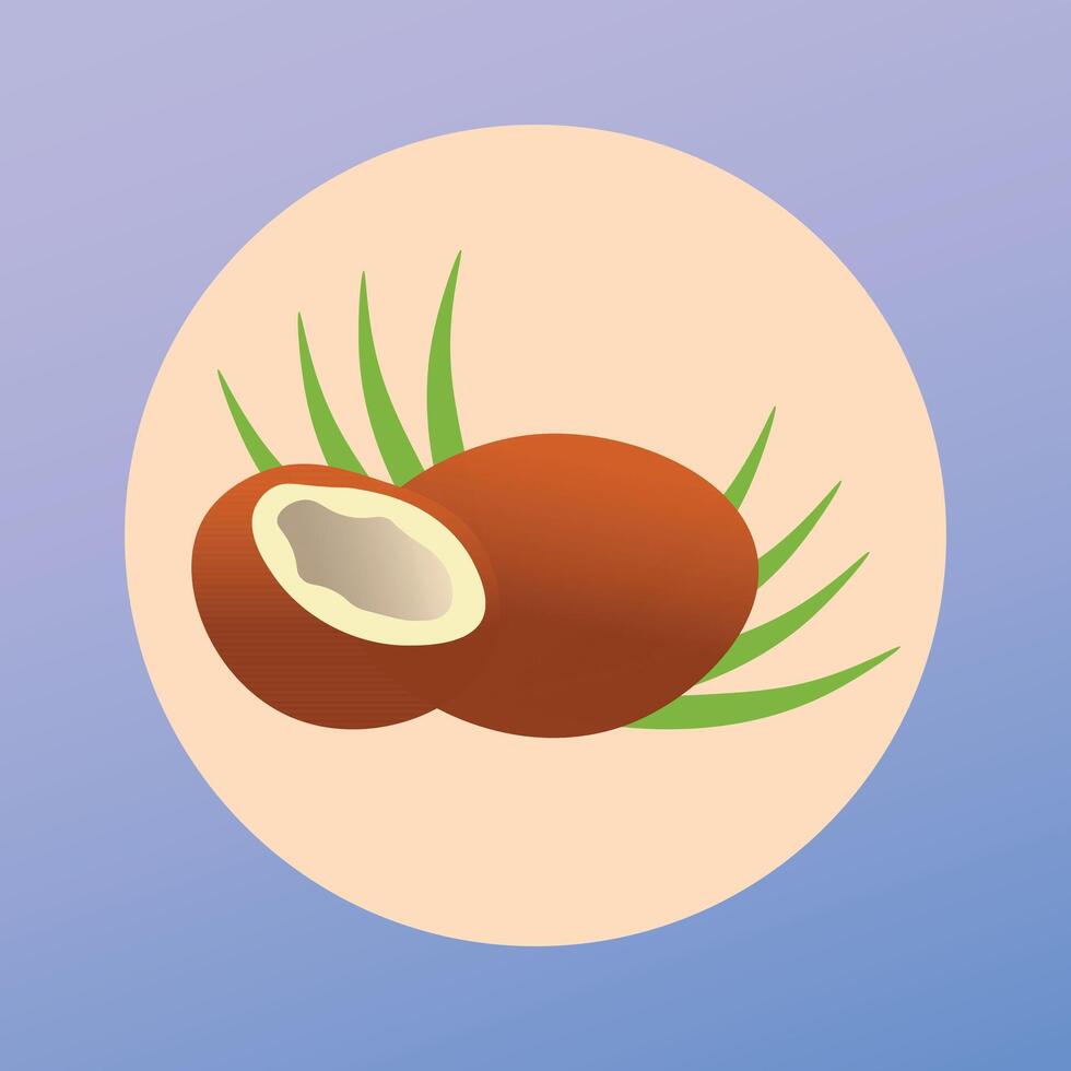 an icon of a coconut on a blue background vector