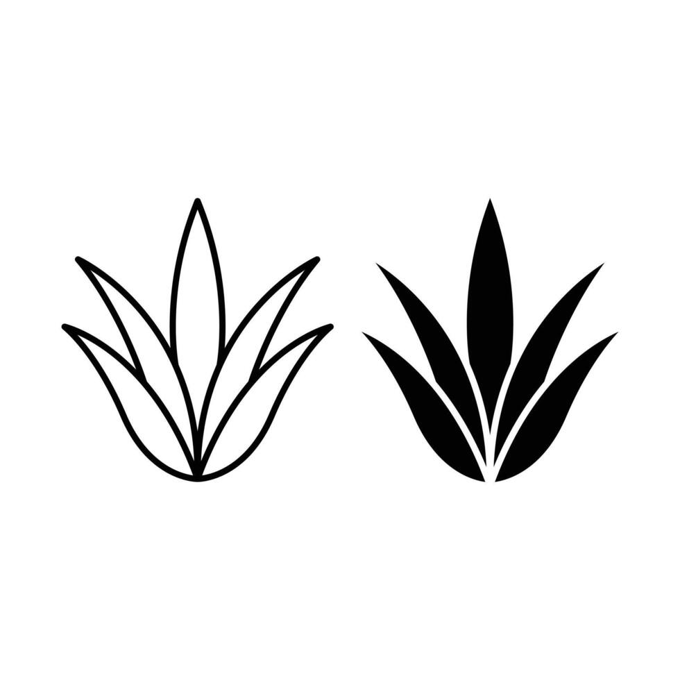 aloe vera plant icon design concept silhouette and outline style vector