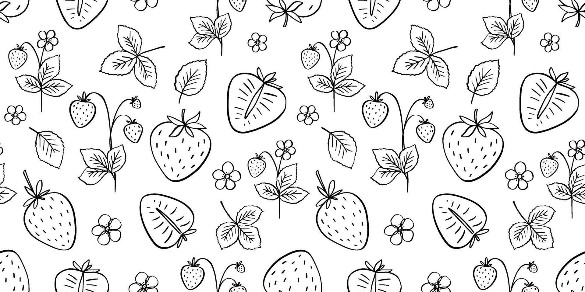 Seamless pattern with strawberry doodle illustration, leaves, berry outline sketch, hand drawn icon of summer food and flowers vector
