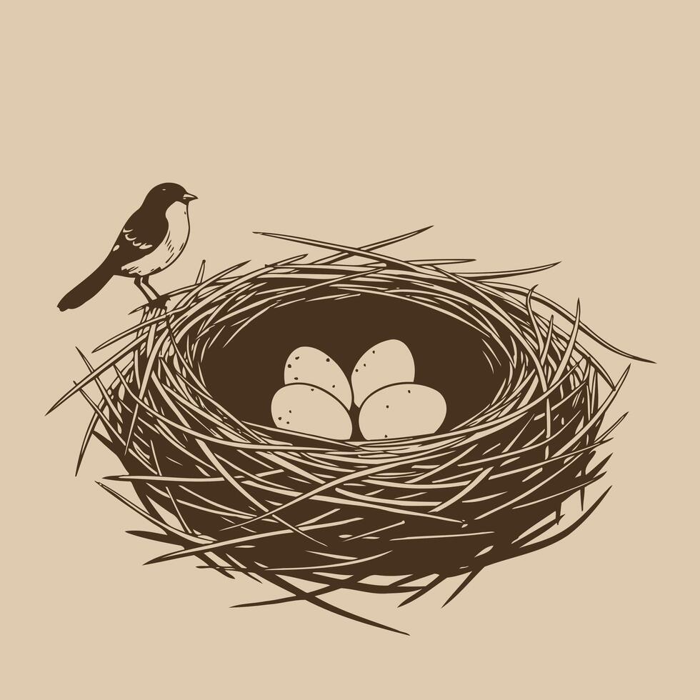 Bird in nest with four eggs logo design vector