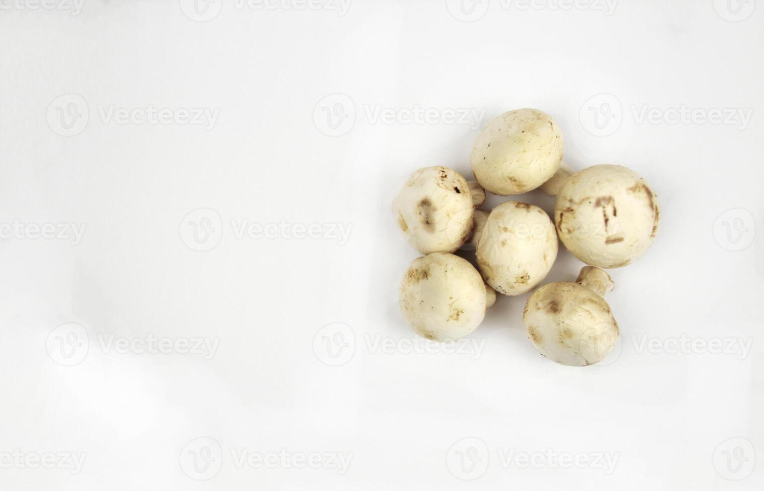 Five champignons on a white background photo