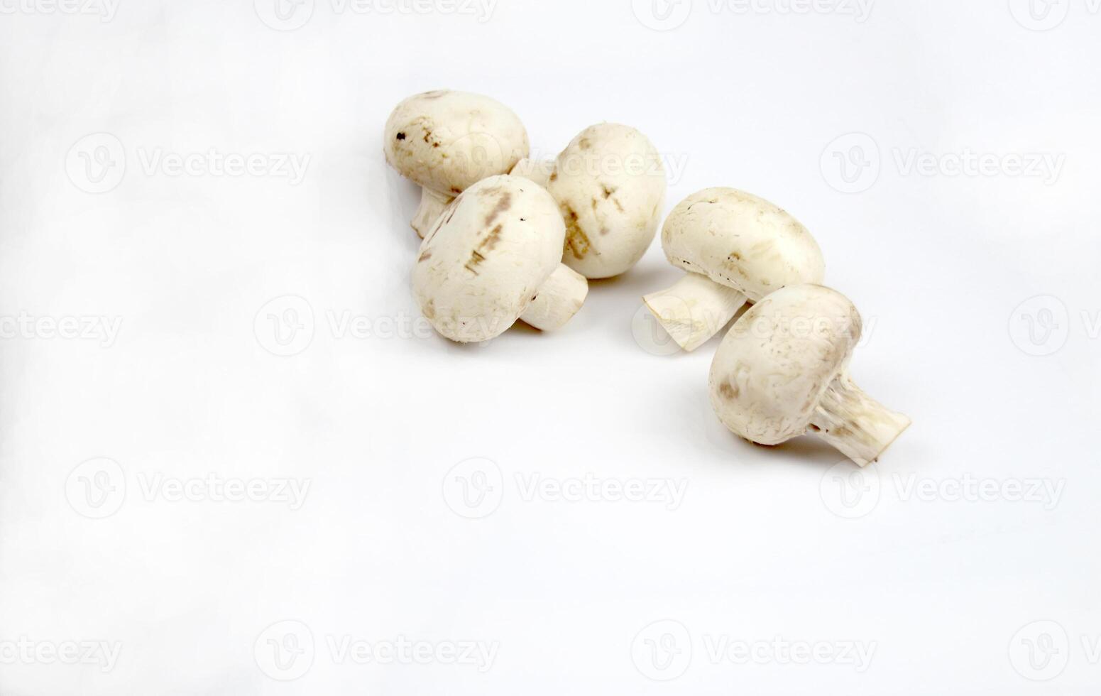 Mushrooms on a white background. Nutrition theme photo