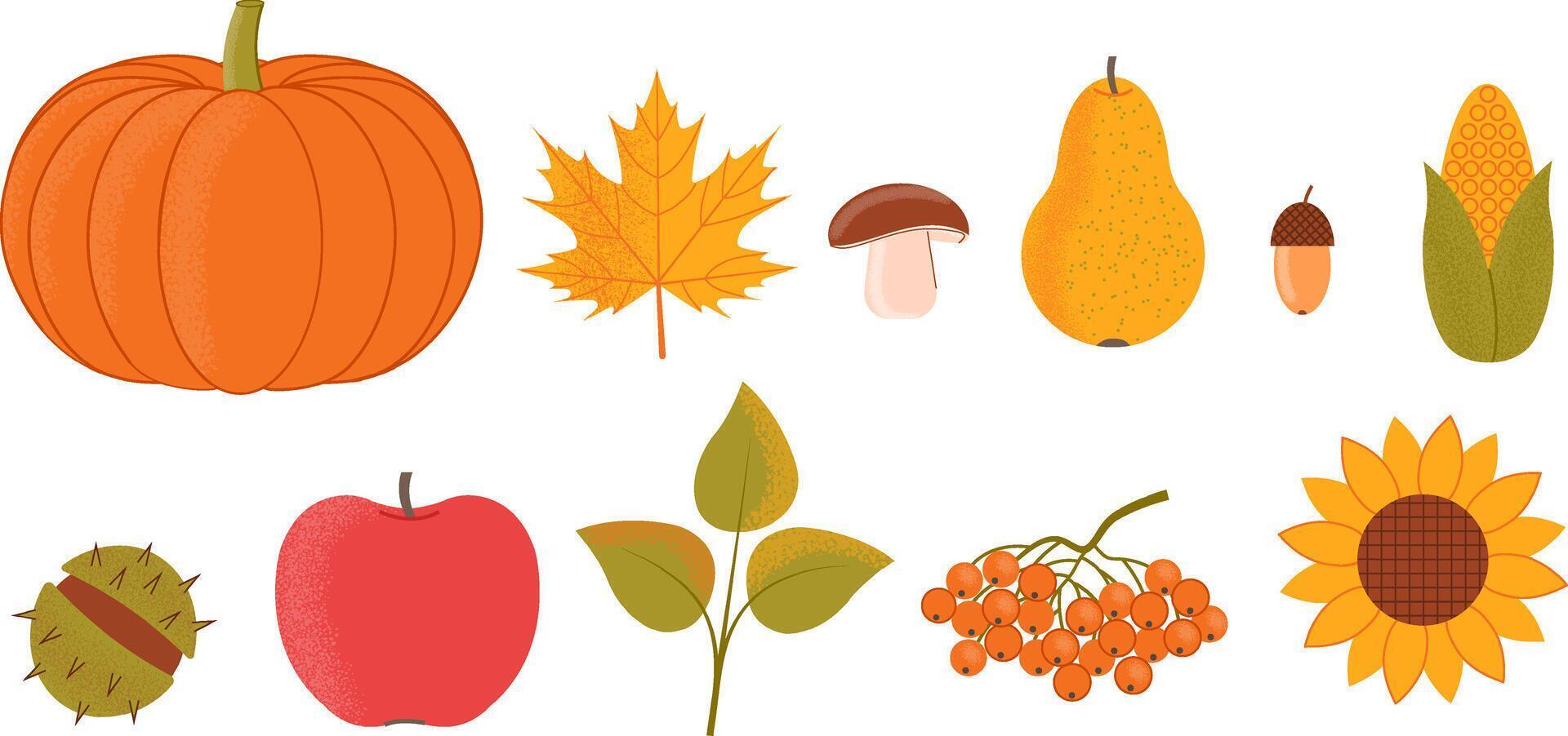 Autumn fruits and plants set. illustration. vector
