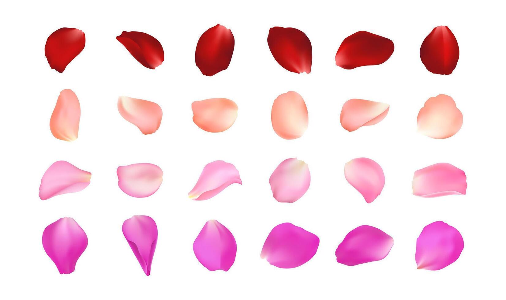 Set of realistic rose petals in different colors. Isolated red, pink, peach, burgundy volumetric petal on white background. Template for greeting romantic cards. Close-up. vector