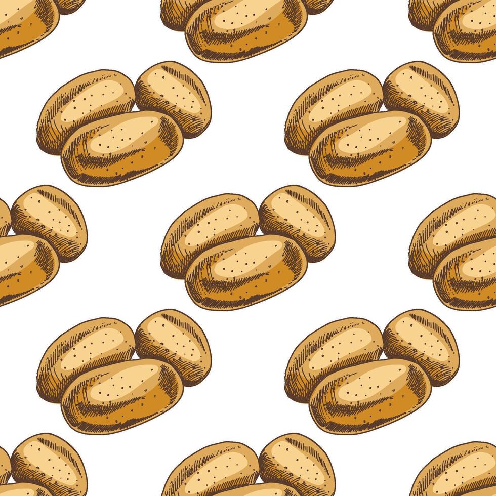 Hand drawn vintage seamless pattern of raw potatoes in brown and beige color on white background, isolated vector