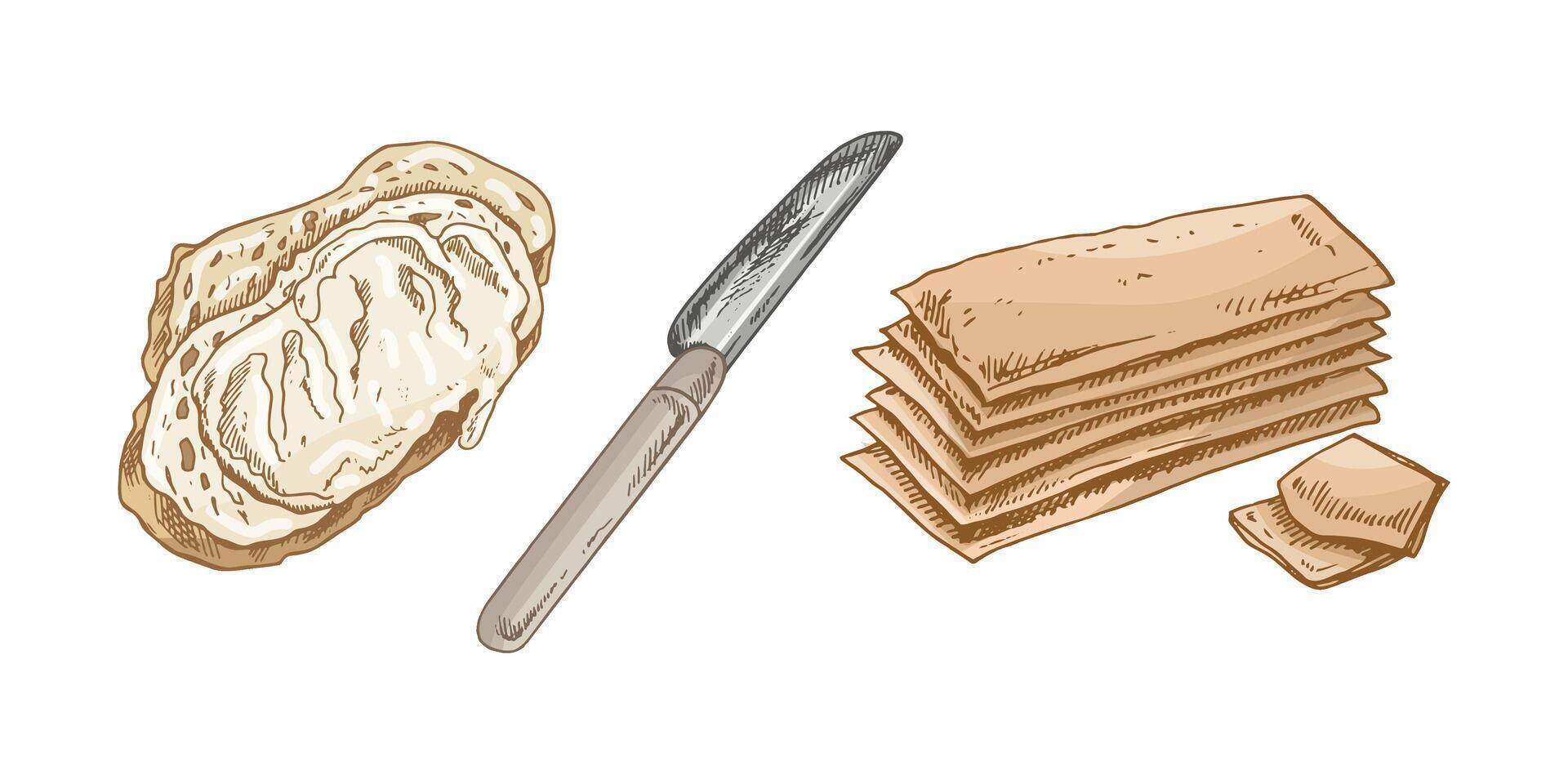 Hand drawn vintage sketch of buttered toast, spreading knife and sliced bread in color, isolated illustration vector