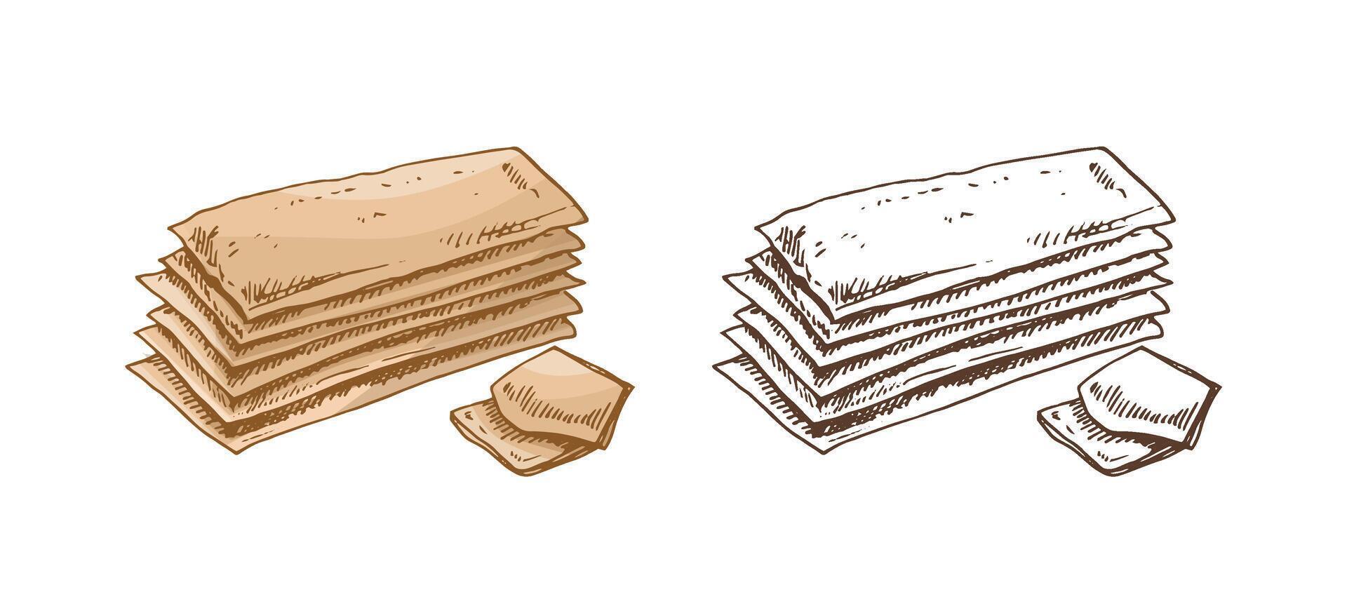 hand drawn illustration of crispbread. Brown and white pastry drawing isolated on white background. Sketch icon and bakery element for print vector