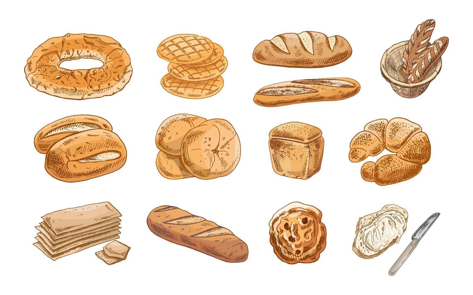 Illustration of assorted breads and baked items vector