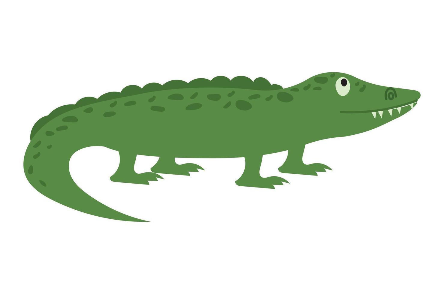 Cute crocodile isolated on white background. n alligator. Hand drawn croco illustration. vector