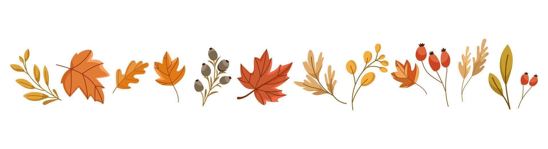 set of Autumn themed elements with fall leaves, berries, acorns, branches in warm seasonal colors, perfect for DIY projects, greeting cards, invitations, packaging, scrapbooking, decorations vector