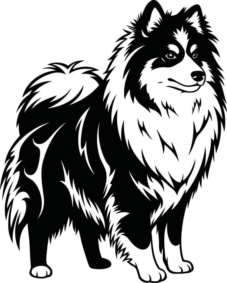 A black and white dog with long hair standing vector