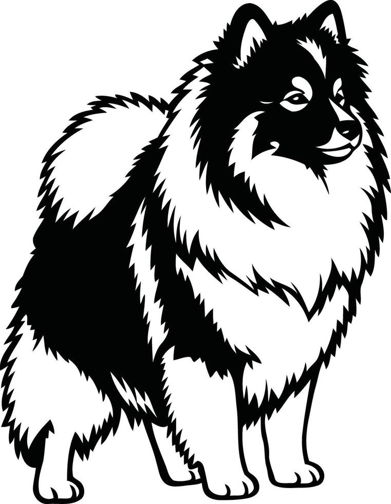 A black and white pomeranian dog on a white background vector