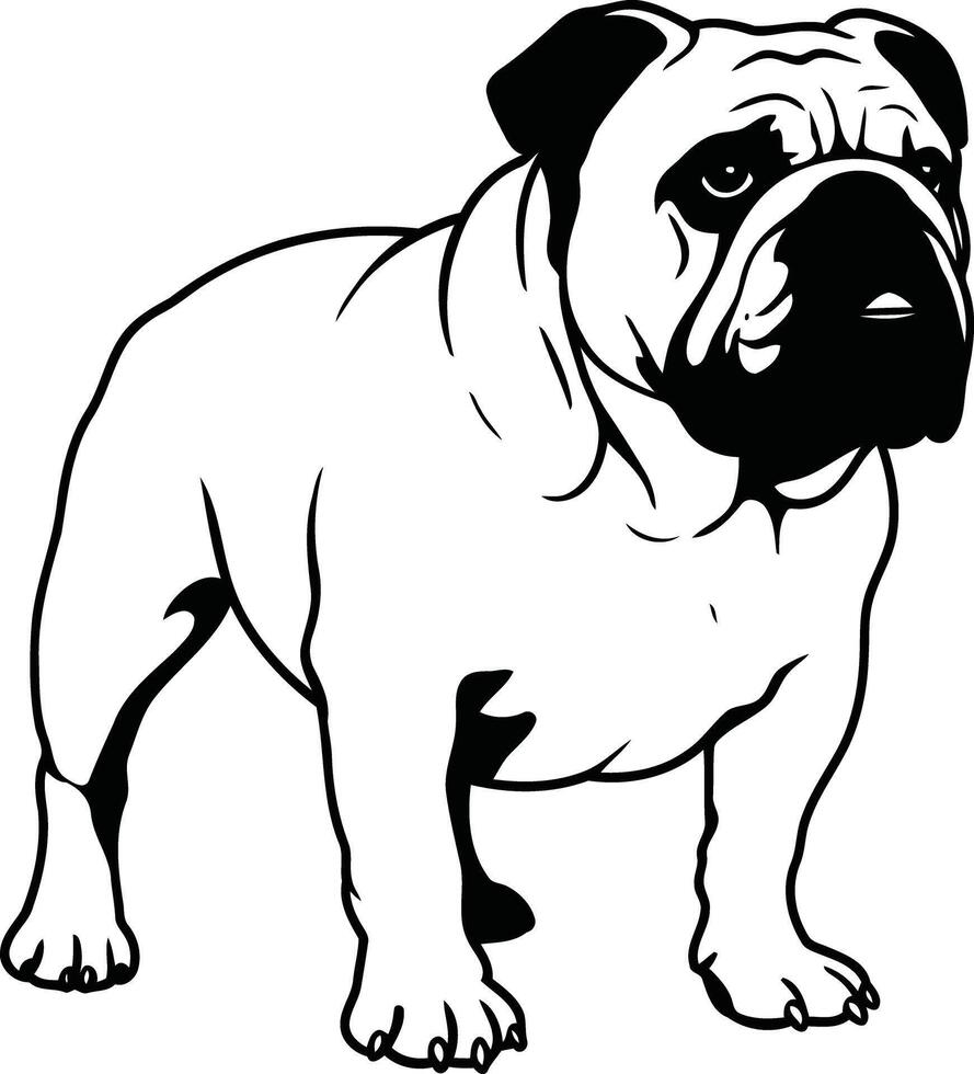 A black and white drawing of a bulldog vector
