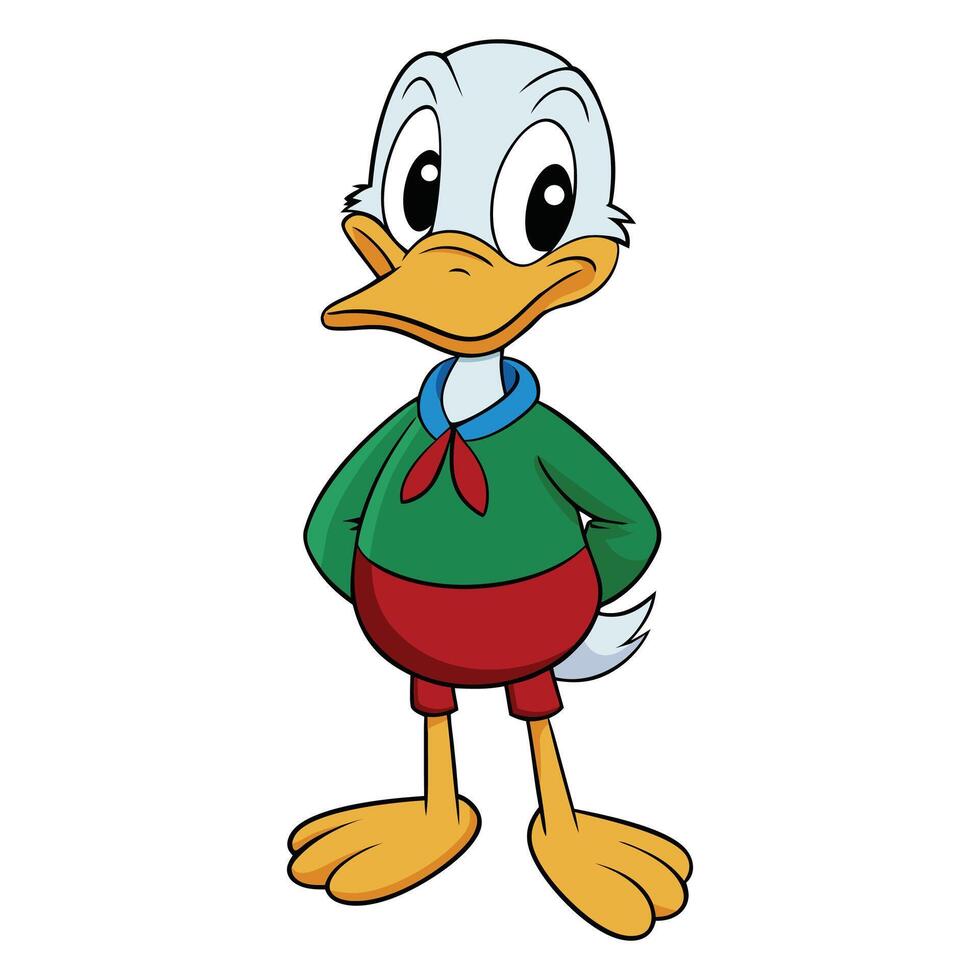 Cartoon Mallard duck isolated on white background vector
