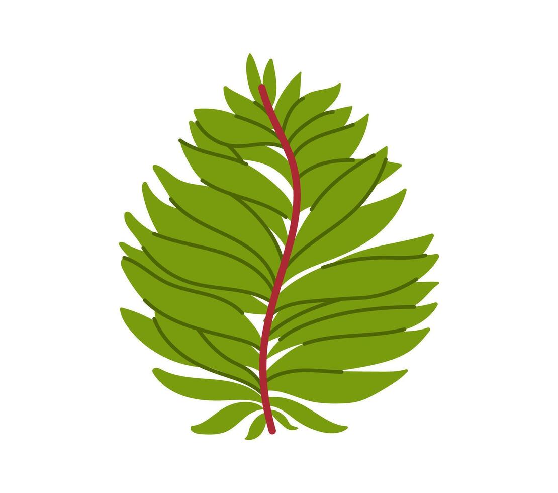 Seaweed, sea algae of coral reef, underwater kelp vector