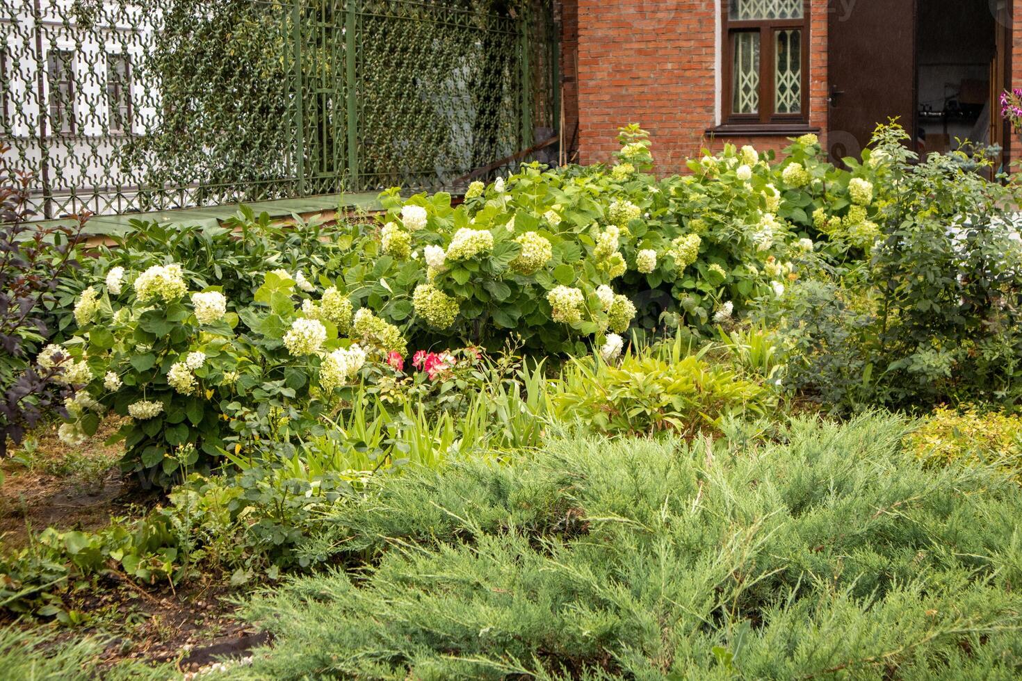 A flower garden in the patio of a small brick house, enclosed by a metal lattice fence photo