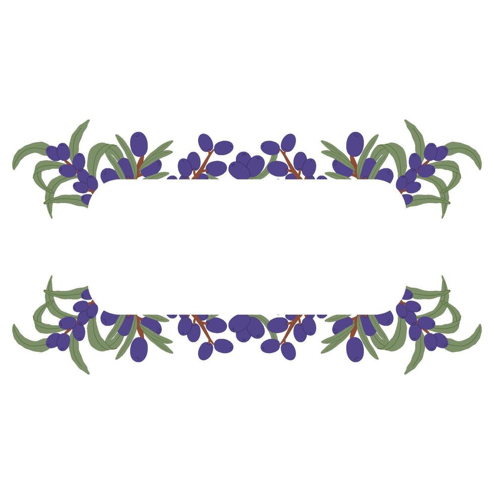 Botanical Label Frame with Olive Berries and Green Leaves in a Hand-Drawn Decorative Design vector
