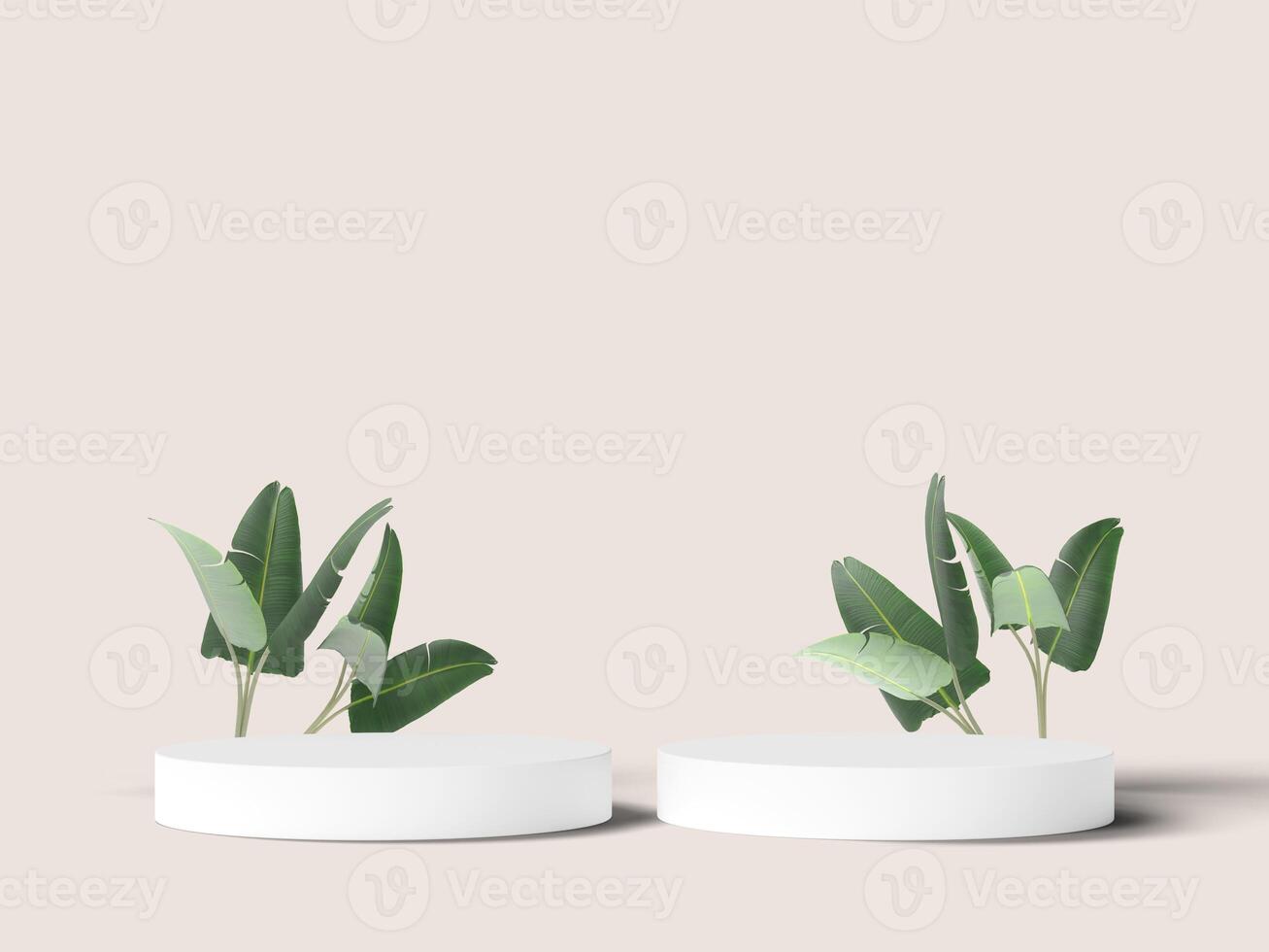 Double white podium with tropical leaves on soft beige background photo