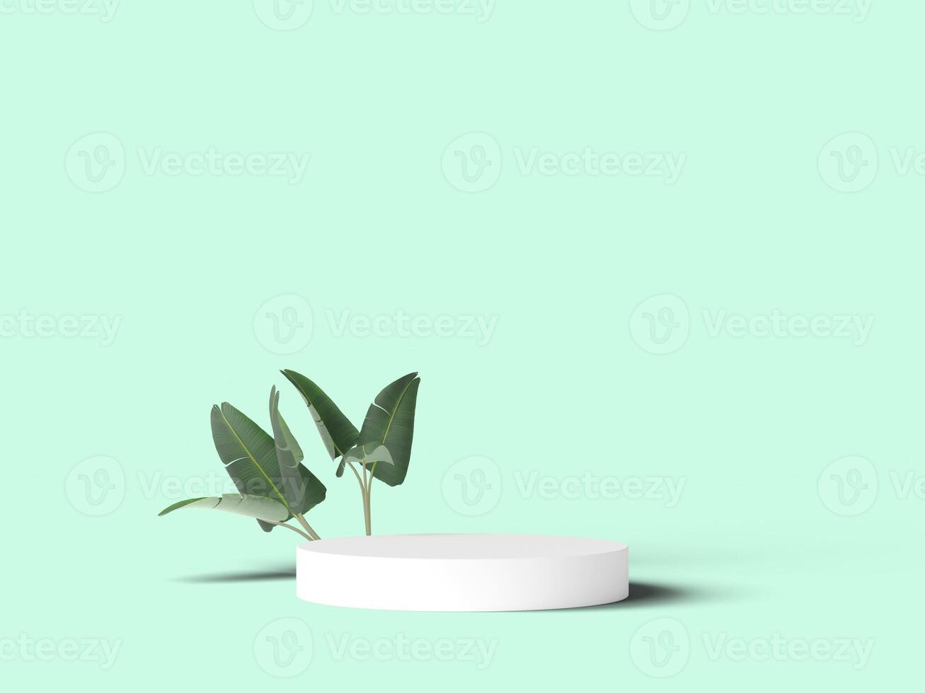Minimalist podium with leaves on mint background photo
