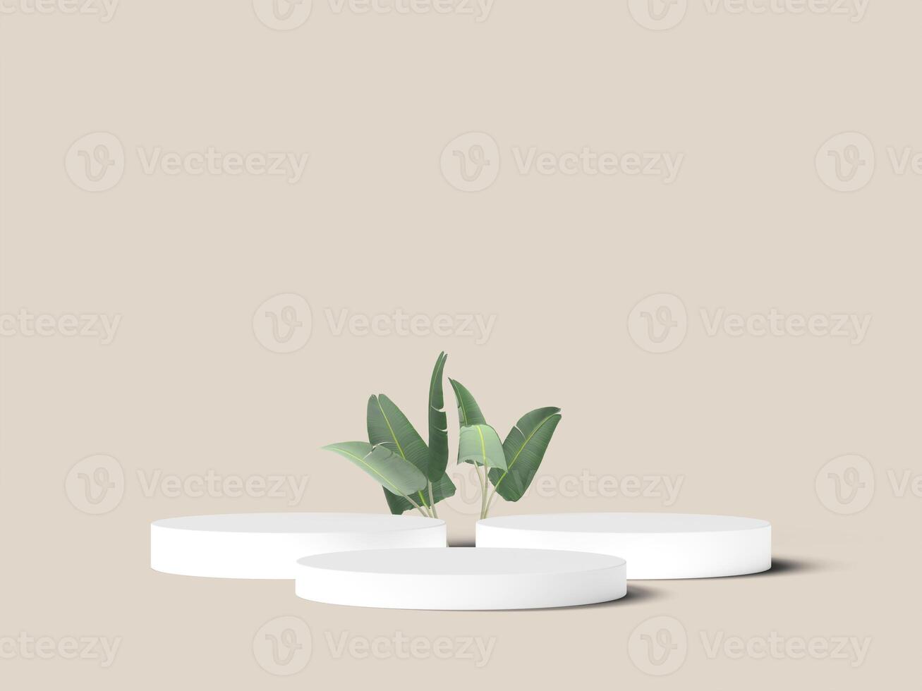 Three white podiums arranged with leafy decoration photo