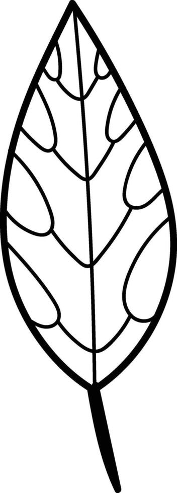 Outlined Leaf Doodle vector